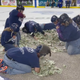 Image for article titled South Dakota Really Had Some Teachers Crawl on Ice to Gather Cash for Their Classrooms